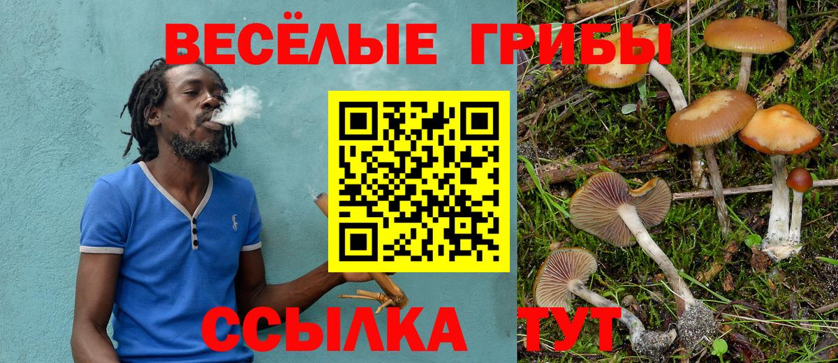 Рязань  Галлюциногенные грибы прущие грибы  Вход с VPN 